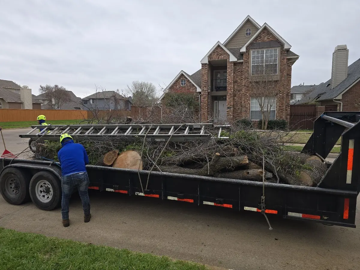 Expert Crown Reduction with proper safety equipment in La Grange